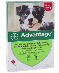 Advantager 250 Mg Bei Hunden Von Über 10 Bis 25 Kg