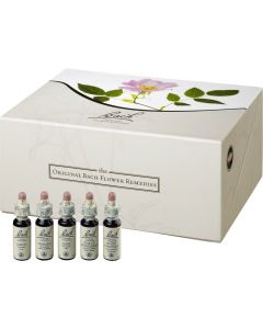 BACHBLÜTEN 10 ml Set Tropfen