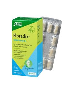 FLORADIX Eisen plus B12 vegan Kapseln