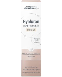 HYALURON TEINT Perfection Primer