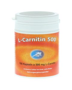 L-CARNITIN KAPSELN 500 mg