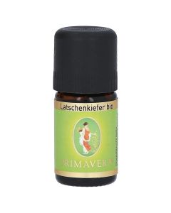 LATSCHENKIEFER Bio ätherisches Öl