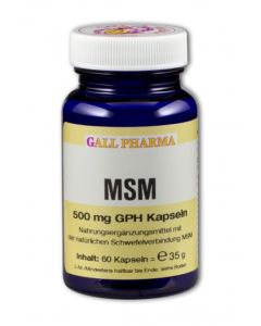 MSM 500 mg GPH Kapseln