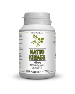 NATTOKINASE 100 mg Mono 20.000 FU Kapseln-120 St