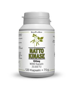 NATTOKINASE 100 mg Mono 20.000 FU Kapseln