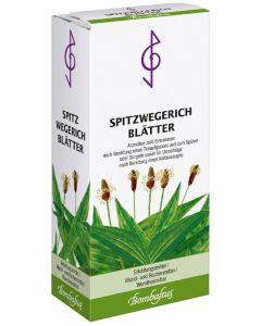 SPITZWEGERICHBLÄTTER Tee