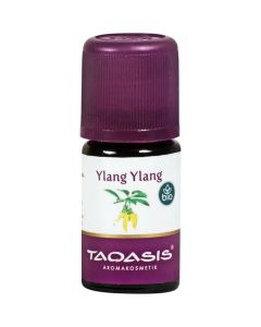 YLANG YLANG Öl Bio