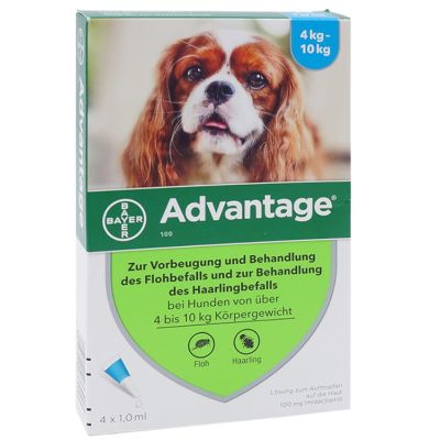 Advantage 100 mg bei Hunden von über 4 bis 10 kg