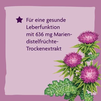 ALEPA Mariendistel Bio-Leber-Tonikum Salus