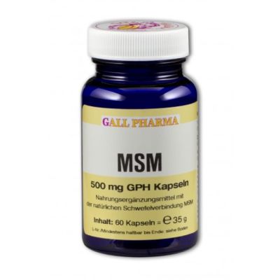 MSM 500 mg GPH Kapseln